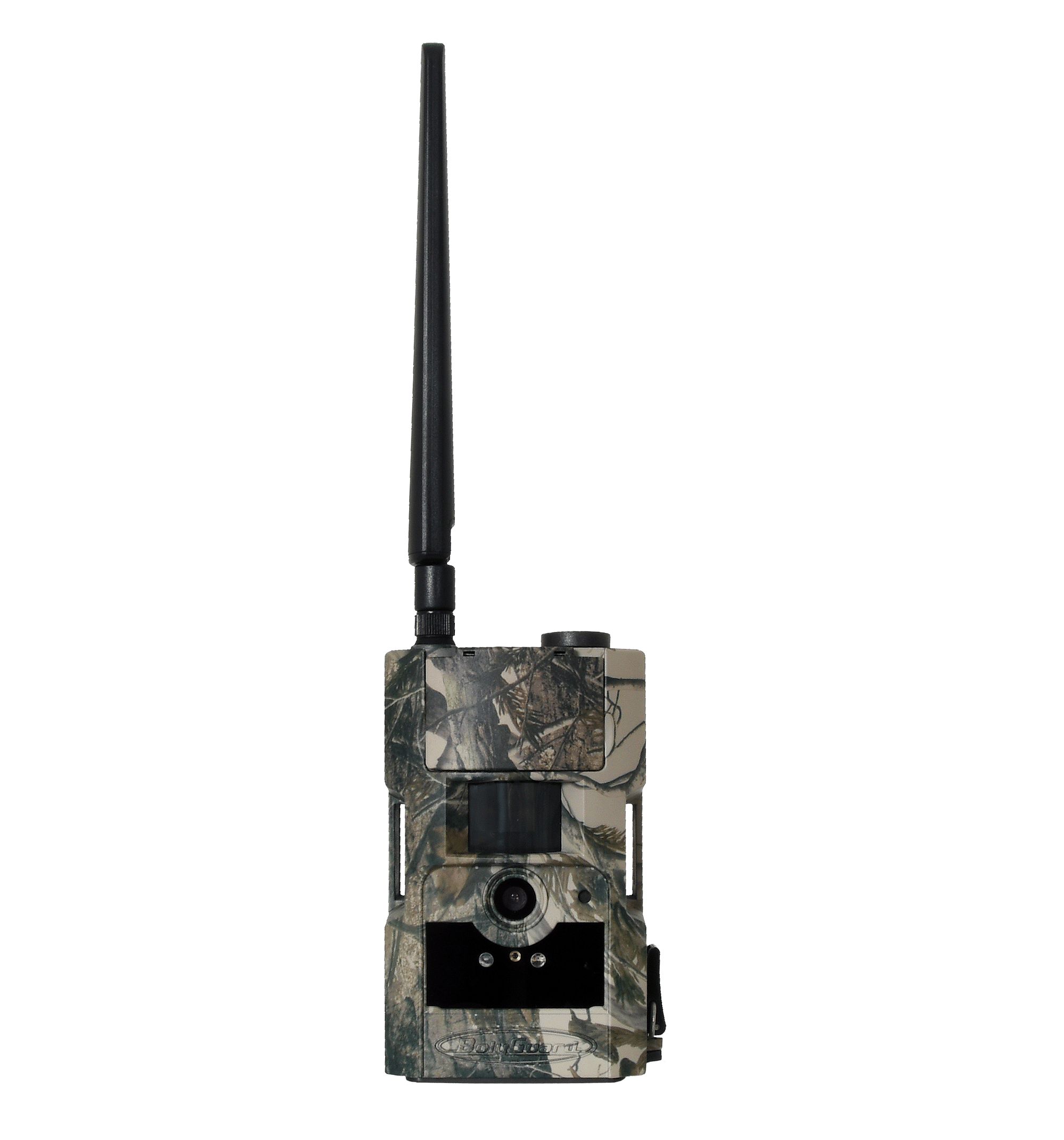 BG584_2024_1.png