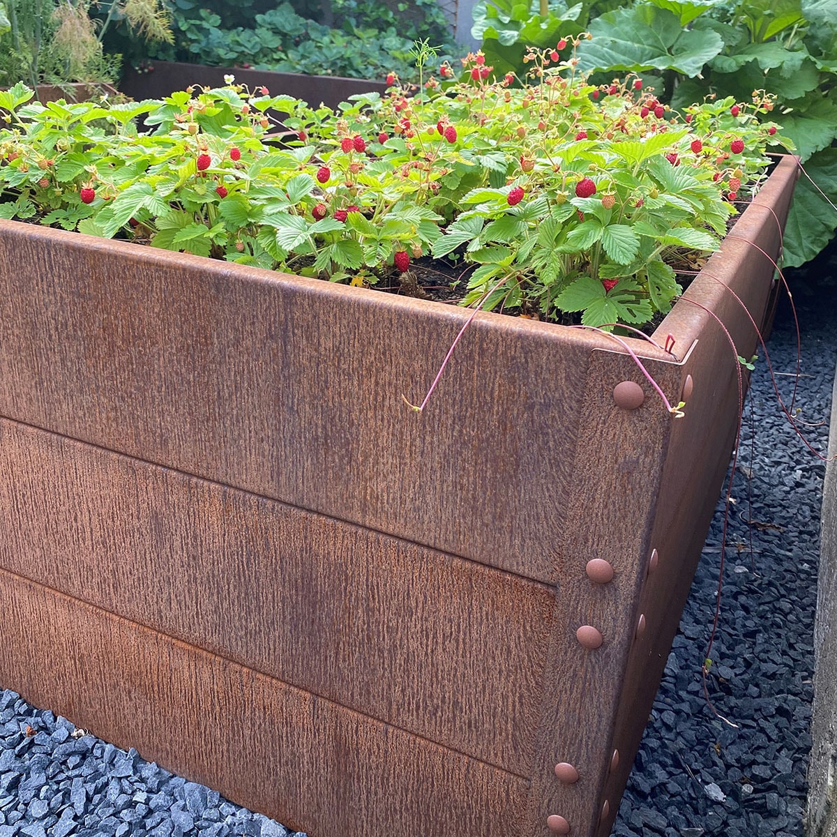 13592520830_3-kopiera__fece0c44-84eb-4e30-8f24-1a7