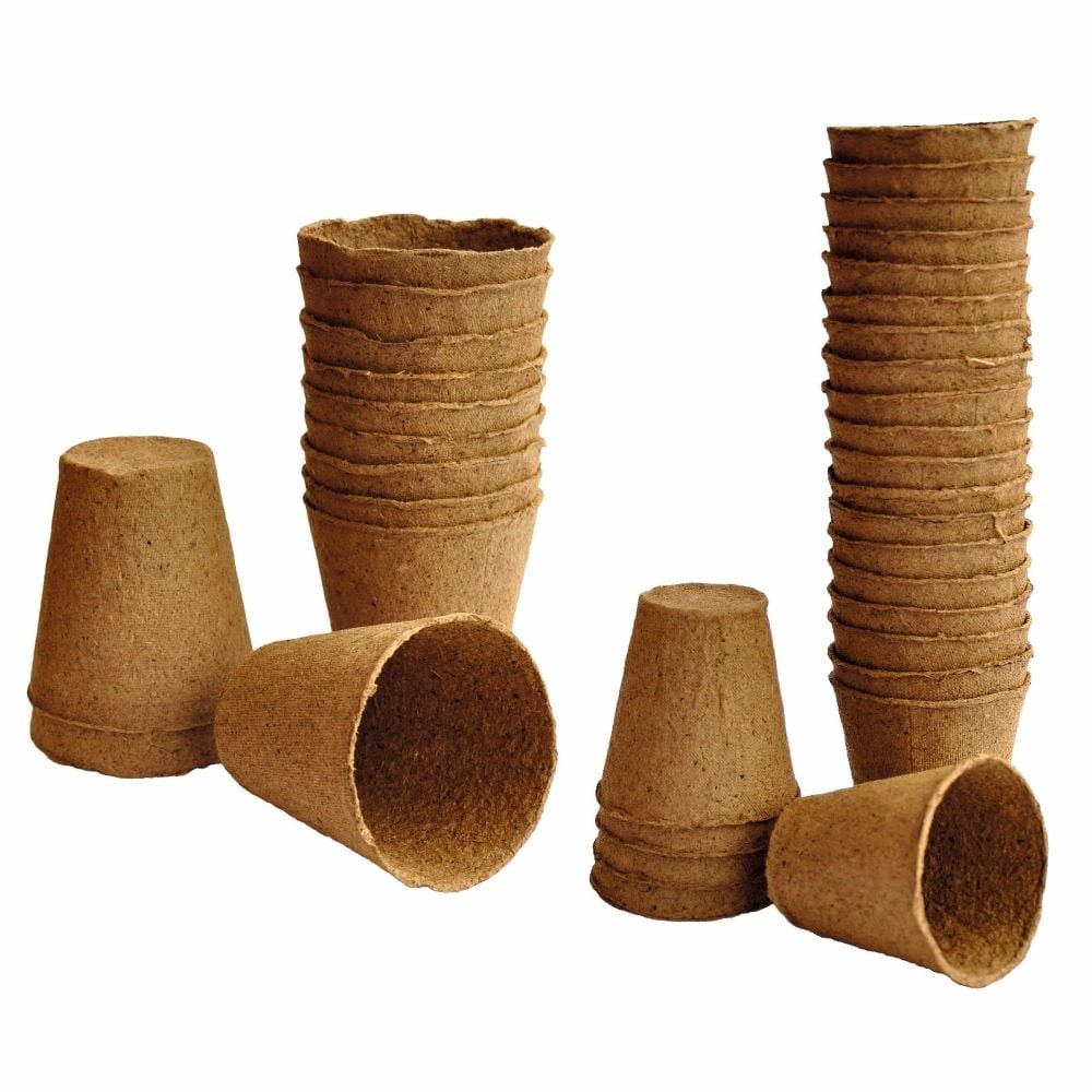 Weibulls Biokruka 6cm rund, 24-pack