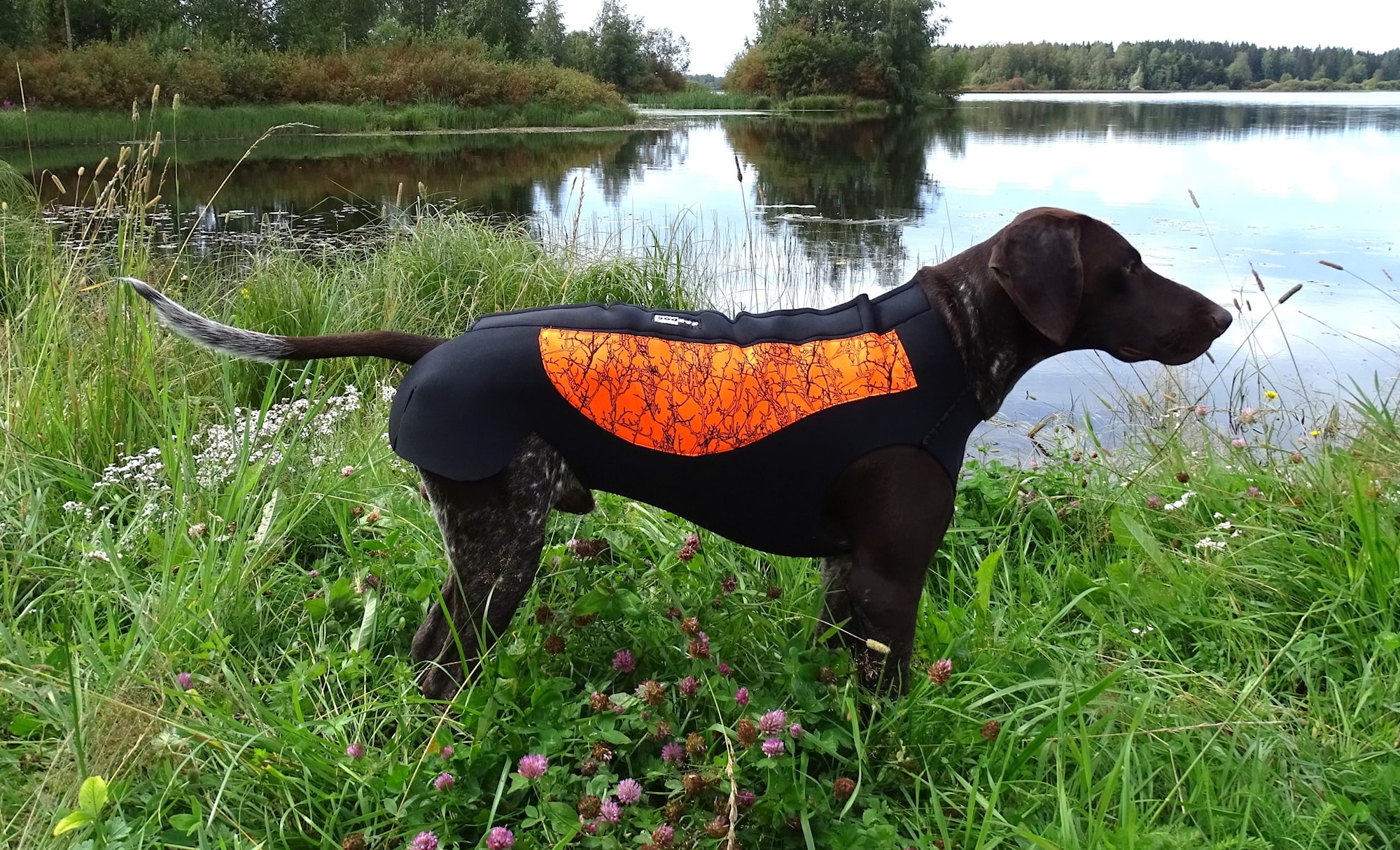 Kardog KAISLA Neopreneväst