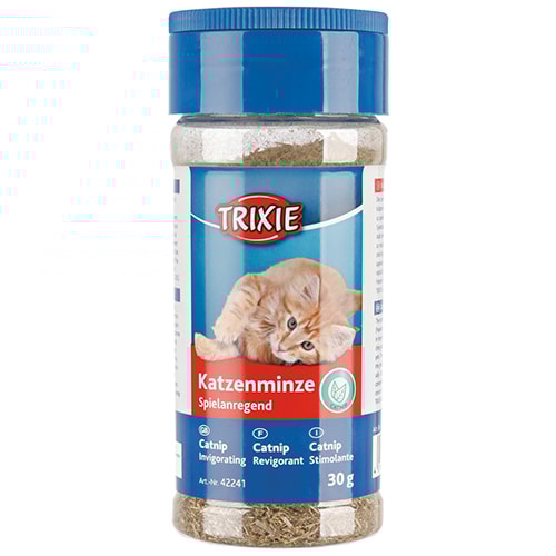 Kattmynta i burk 30G
