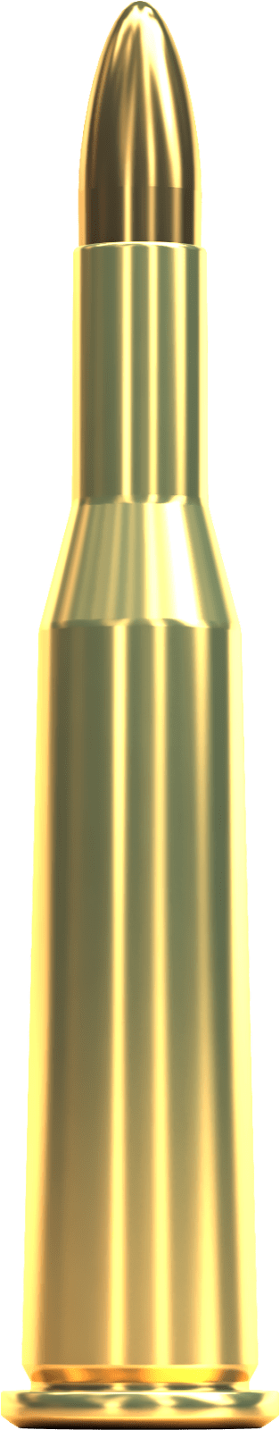 S&B 5,6x52R 70gr FMJ