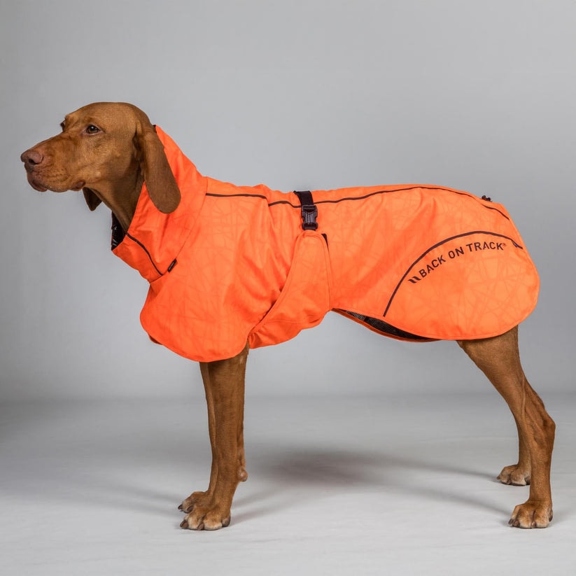 3236BAYRainDogCoat_HighsettailOrangeDetail01Web_10