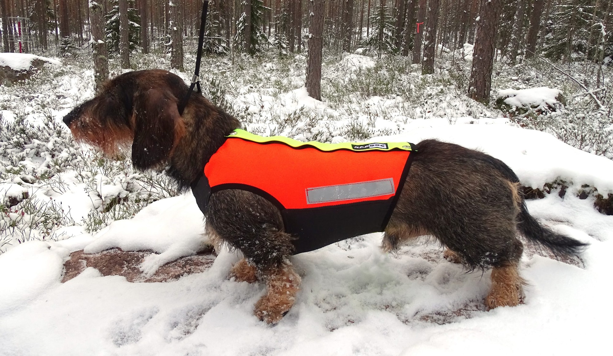 Kardog HELMI Skärskyddsväst