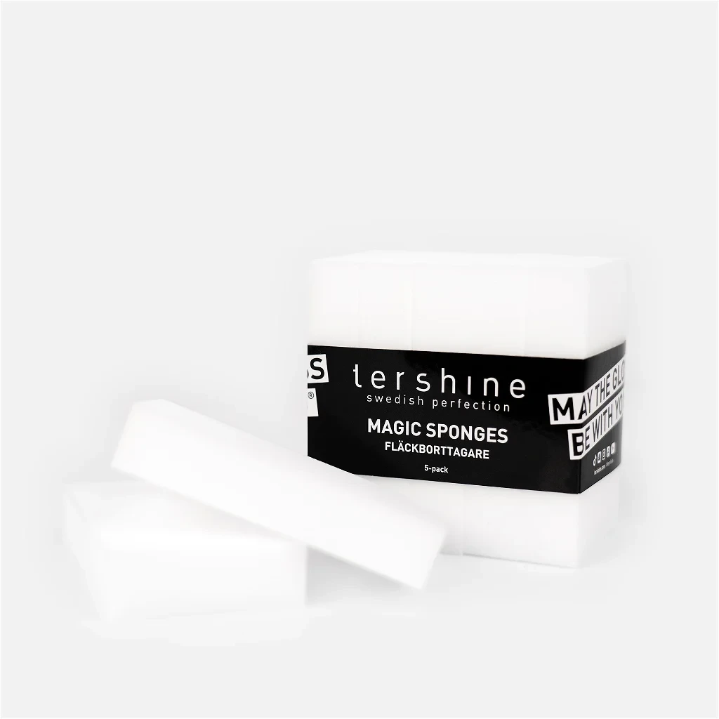 Tershine Fläckborttagningssvamp 5-pack