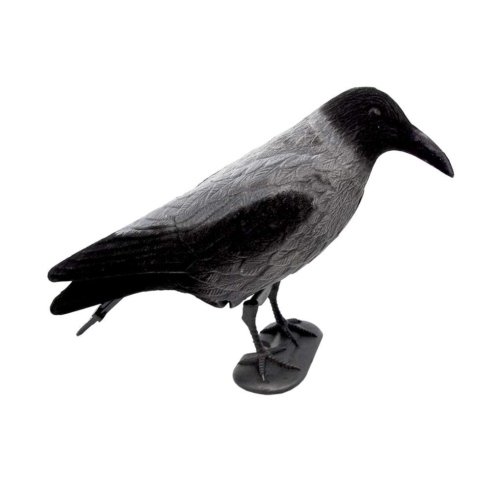 5etta Bulvan - Kråke