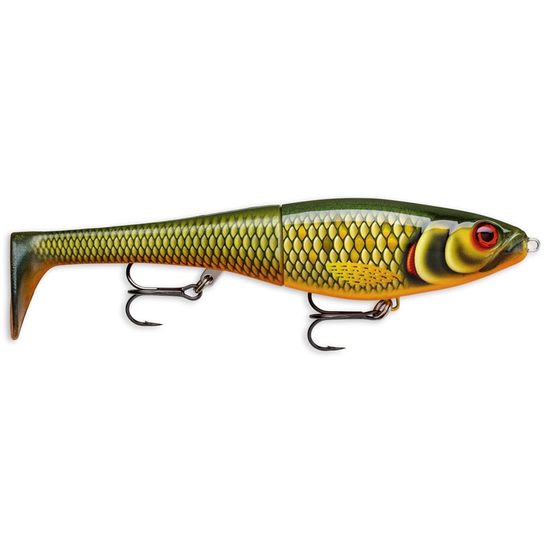 Rapala X-Rap Peto 20 cm Scaled Roach (SCRR) -