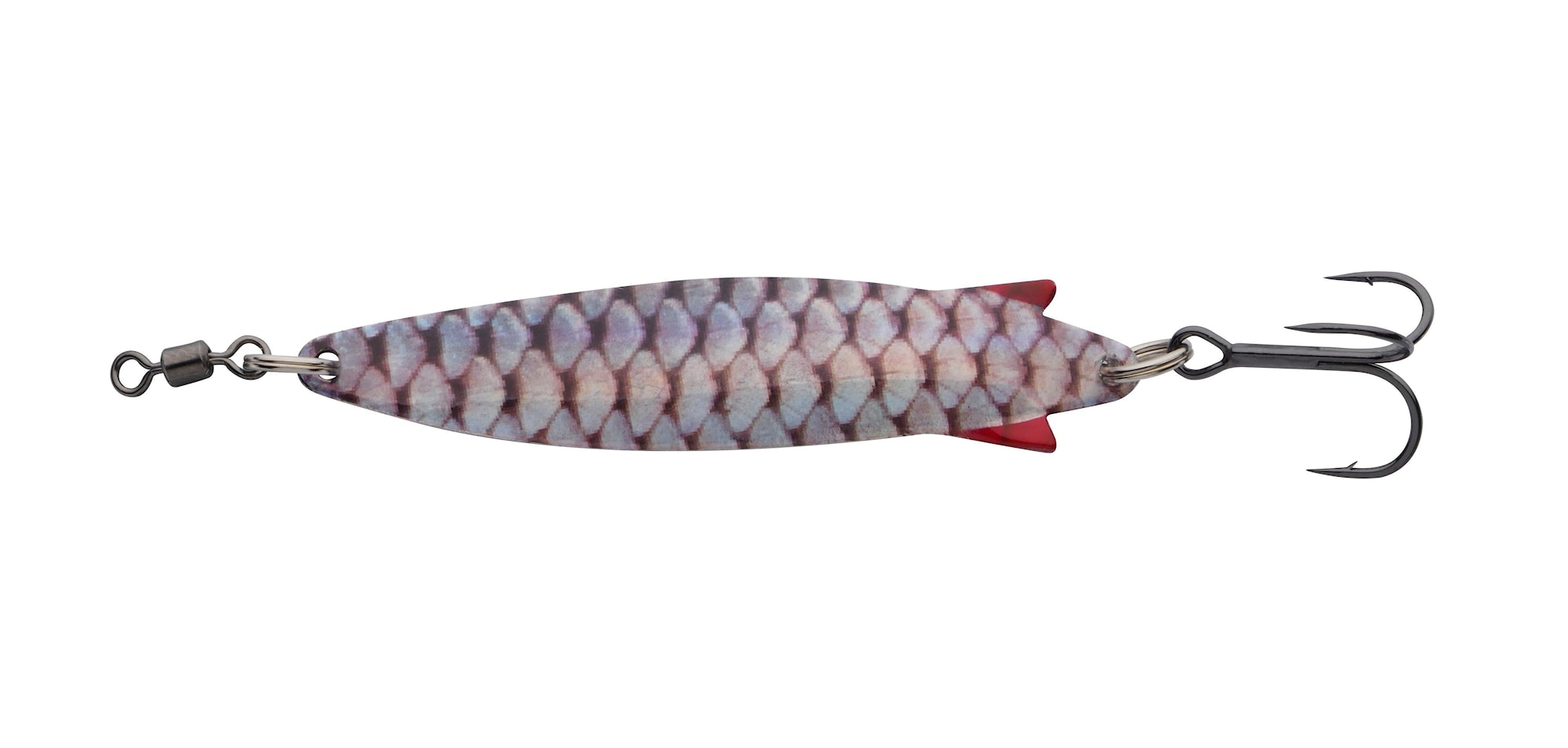 Toby 15 g Holo Roach -