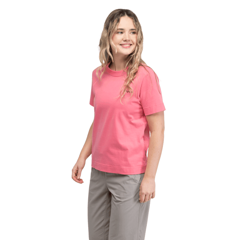 3741-25812-graphic (3).png