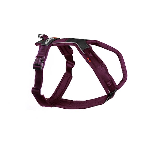 Non-Stop Dogwear Line Harness 5.0, purple