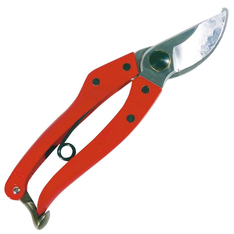 Oksasakset Golden Star Medium