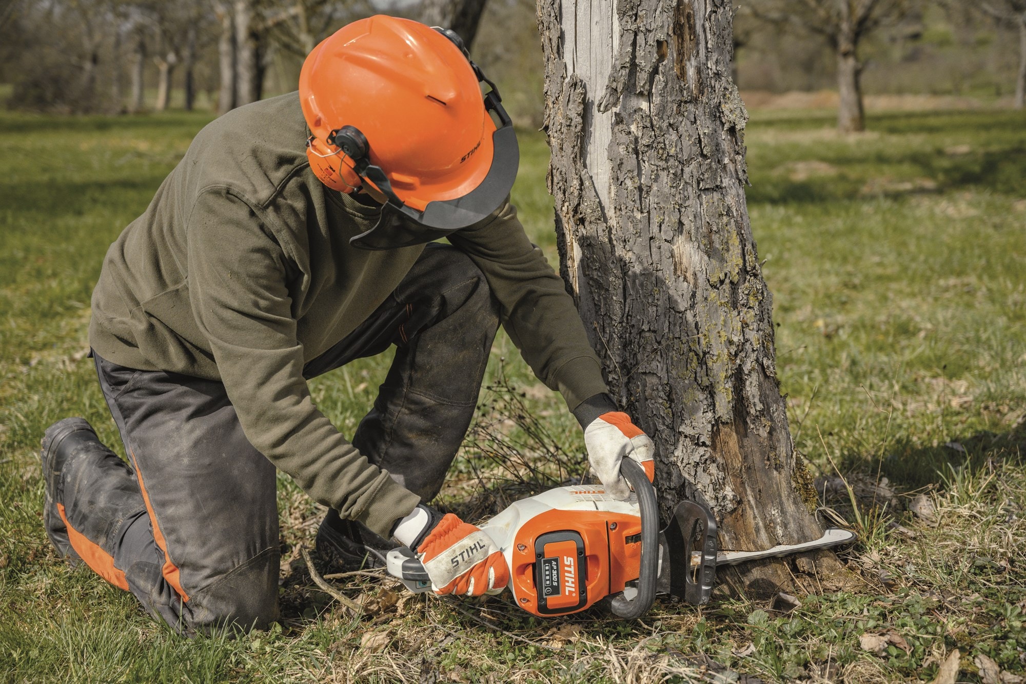 eabba78d-408c-4833-95d1-8223e817cccd.jfif