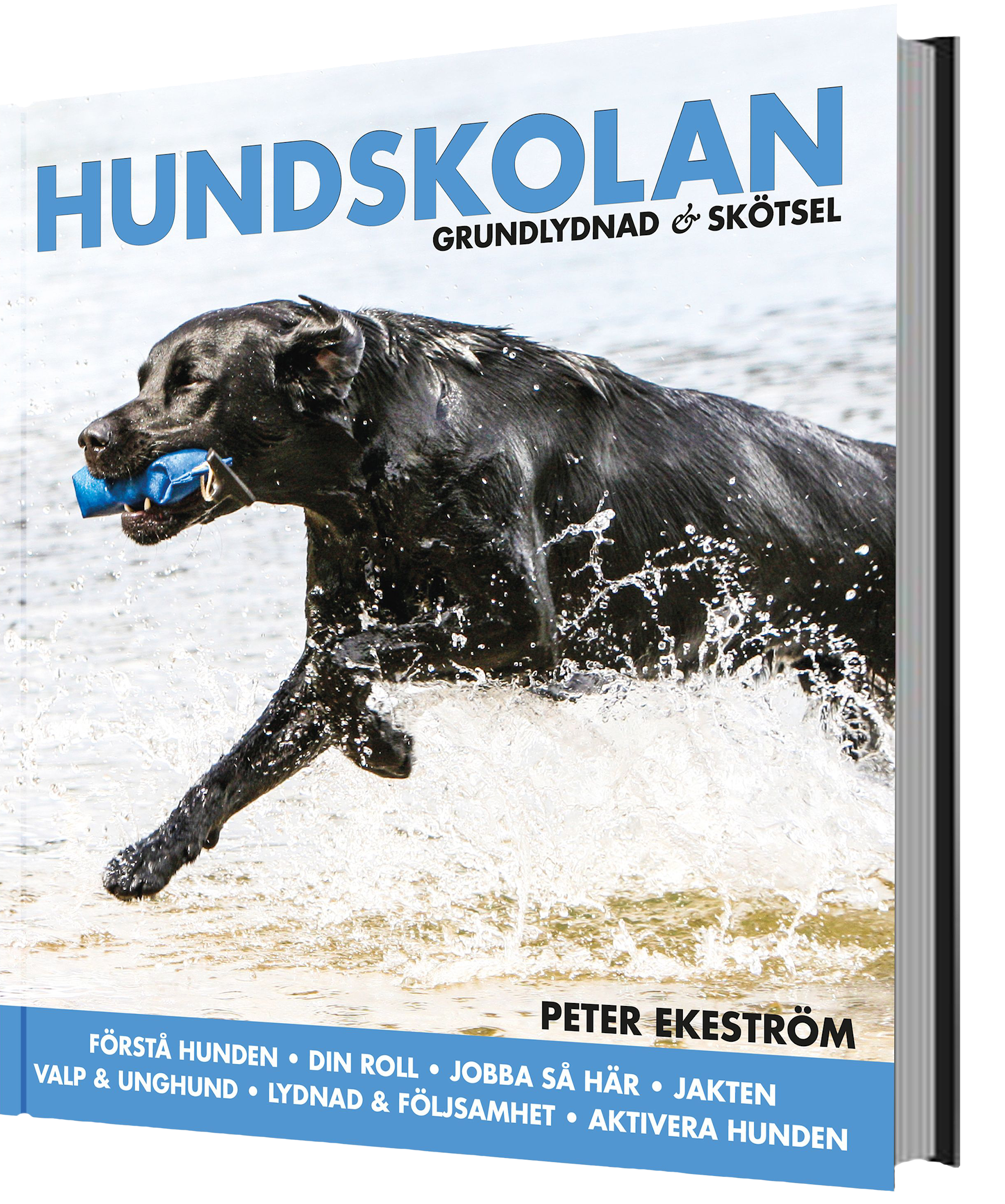 HUNDSKOLAN, grundlydnad & skötsel -