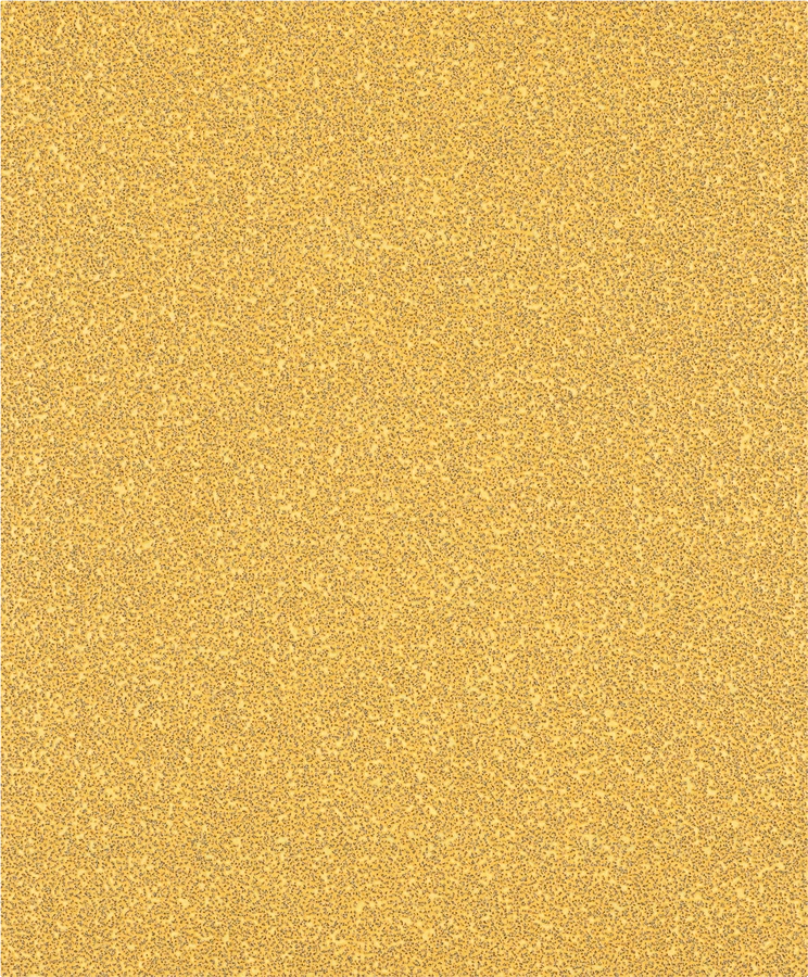 Bosch Slipark Expert 230X280mm