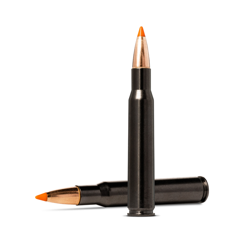 Norma Tipstrike Silencer .30-06 11g