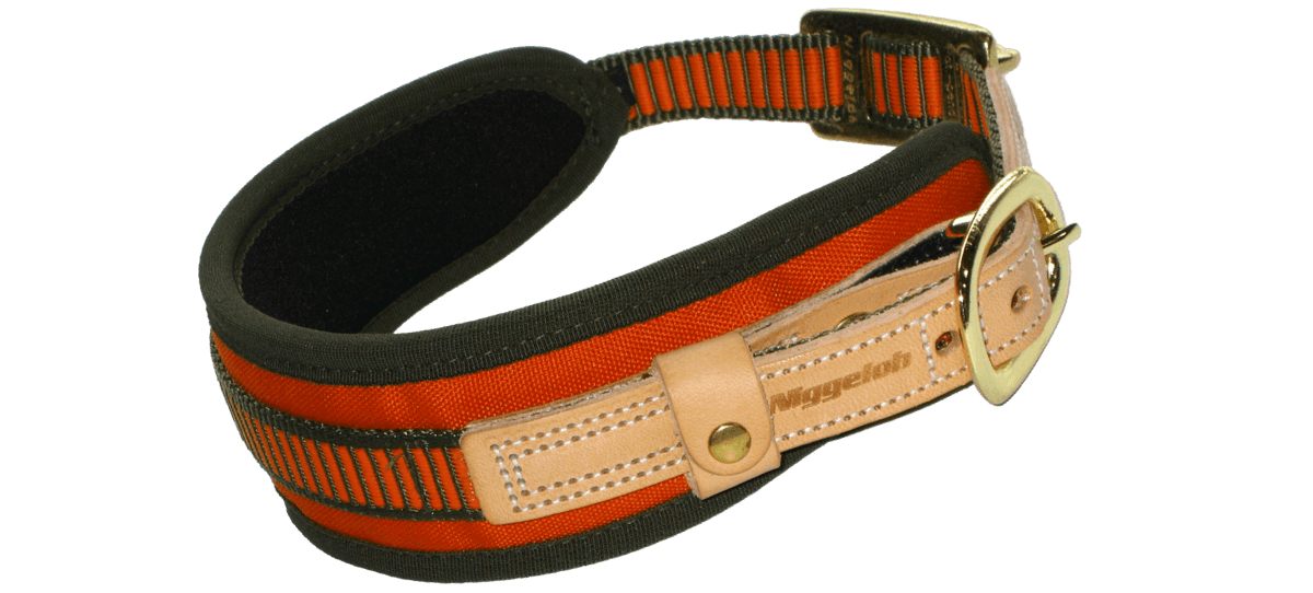 Hundhalsband Niggeloh Spårhalsband