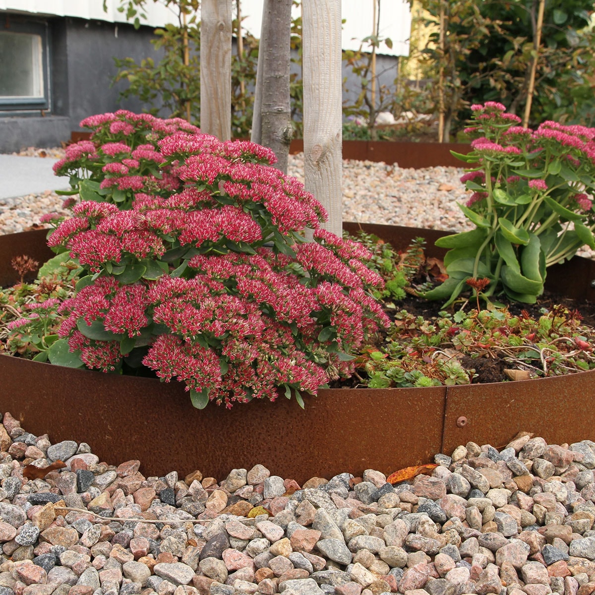 planteringskant-flexigarden-corten-180-mm-kvartsba