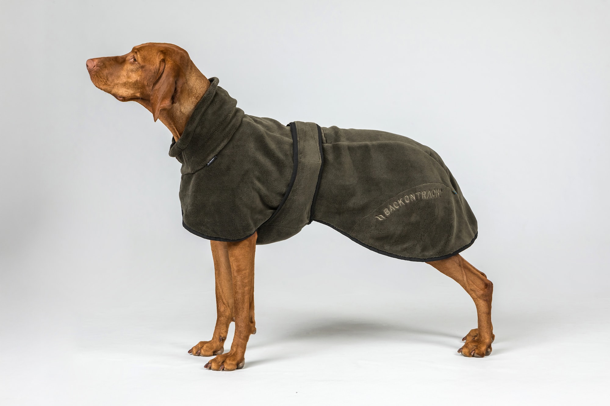 3241 BAY Dry Dog Coat Olive Detail 01.jpg