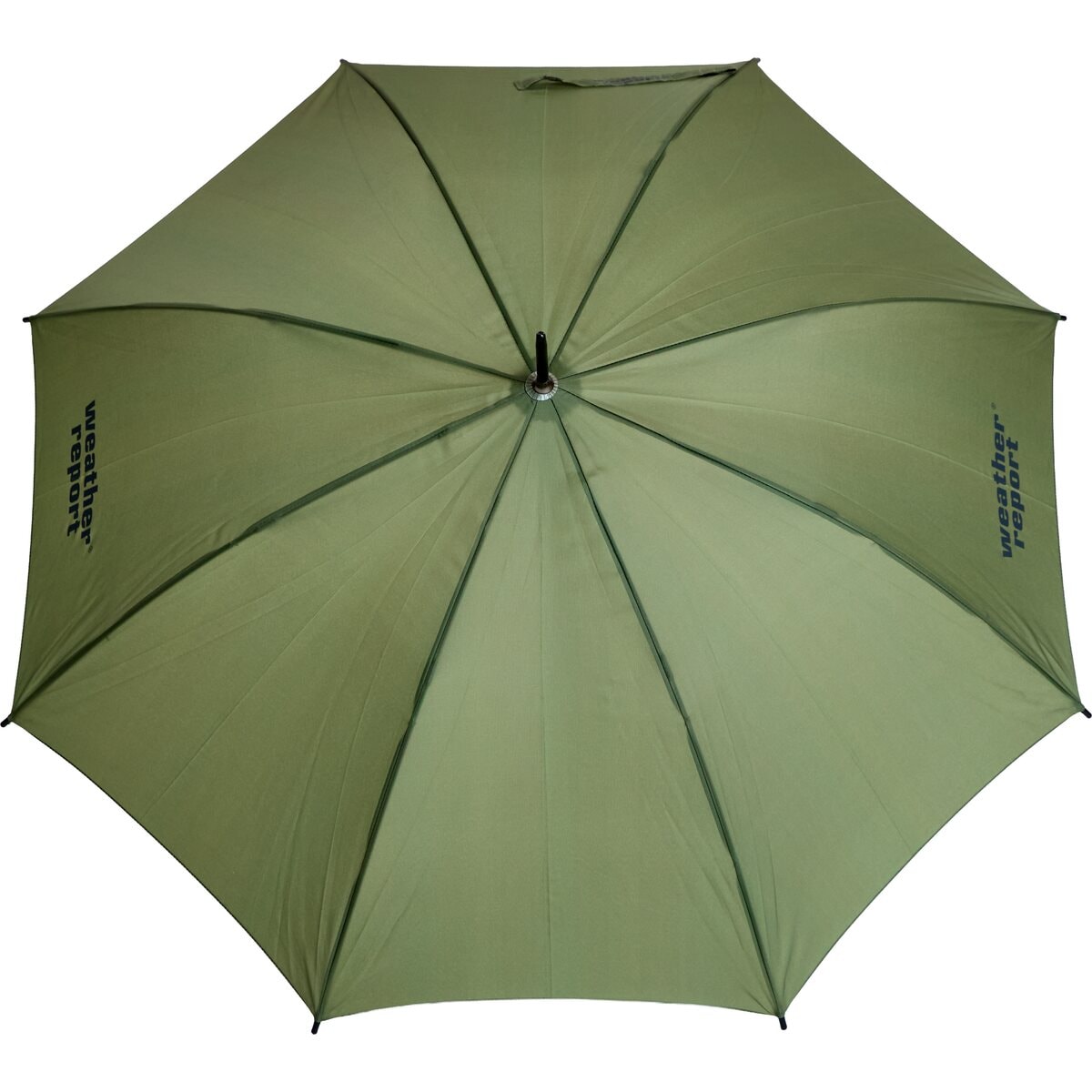 WR254027 - 3146 Tea Leaf - Extra 2.jpg