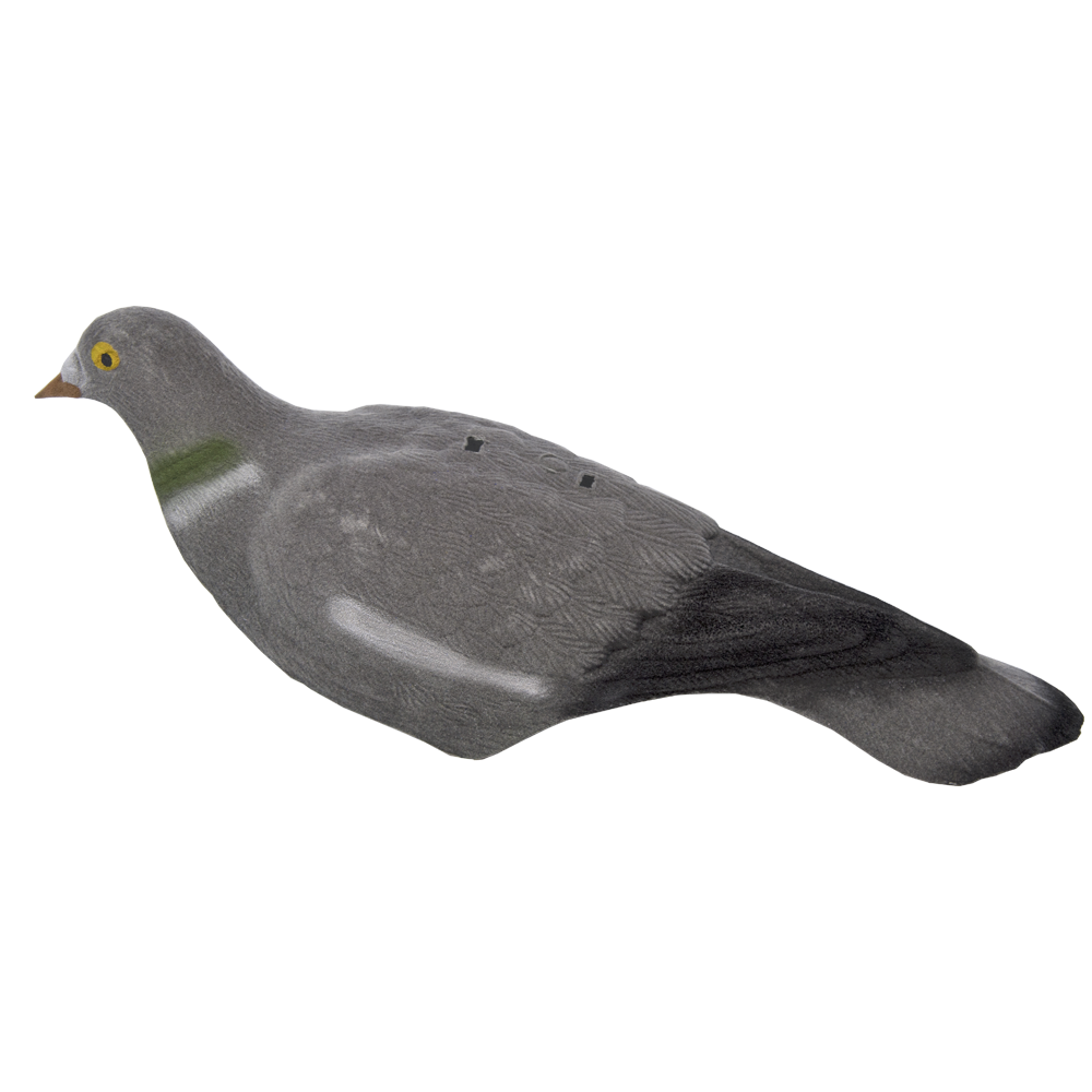 5etta Ringdue, skall