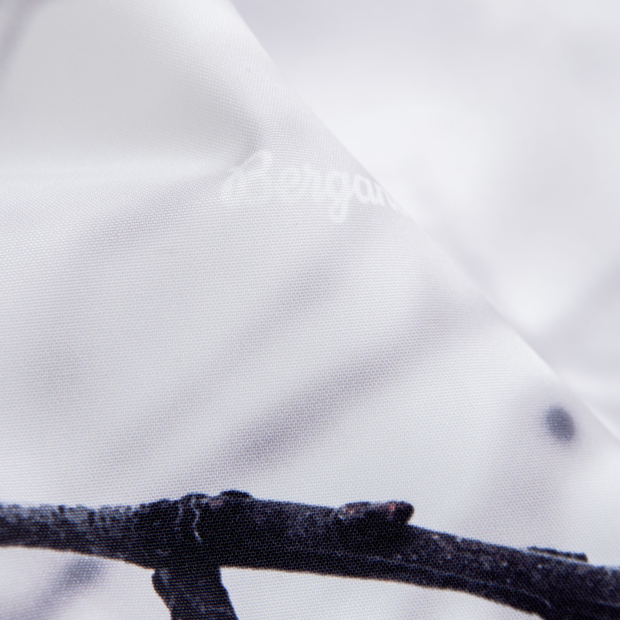 images2[1]