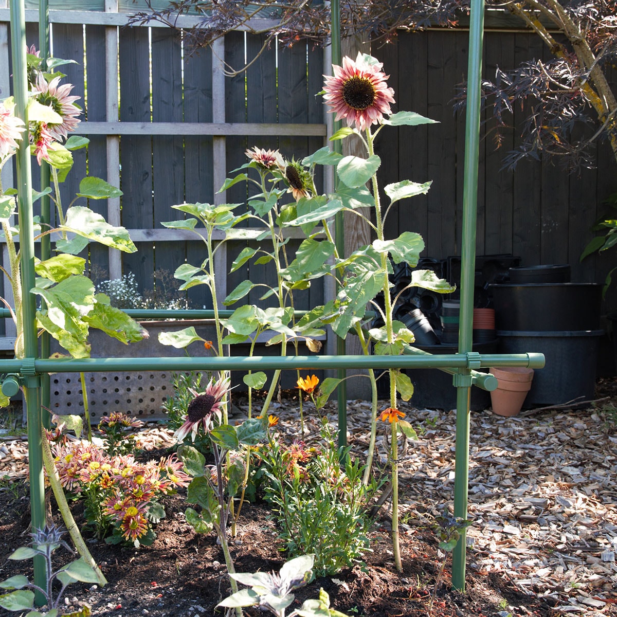 buskstod-flexigarden__8508547c-4367-496a-b69c-bef1