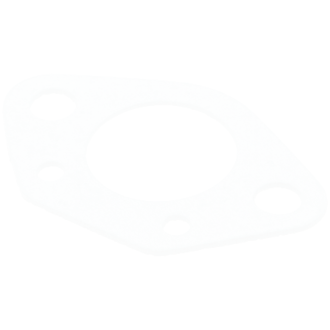 Kaasuttimen tiiviste