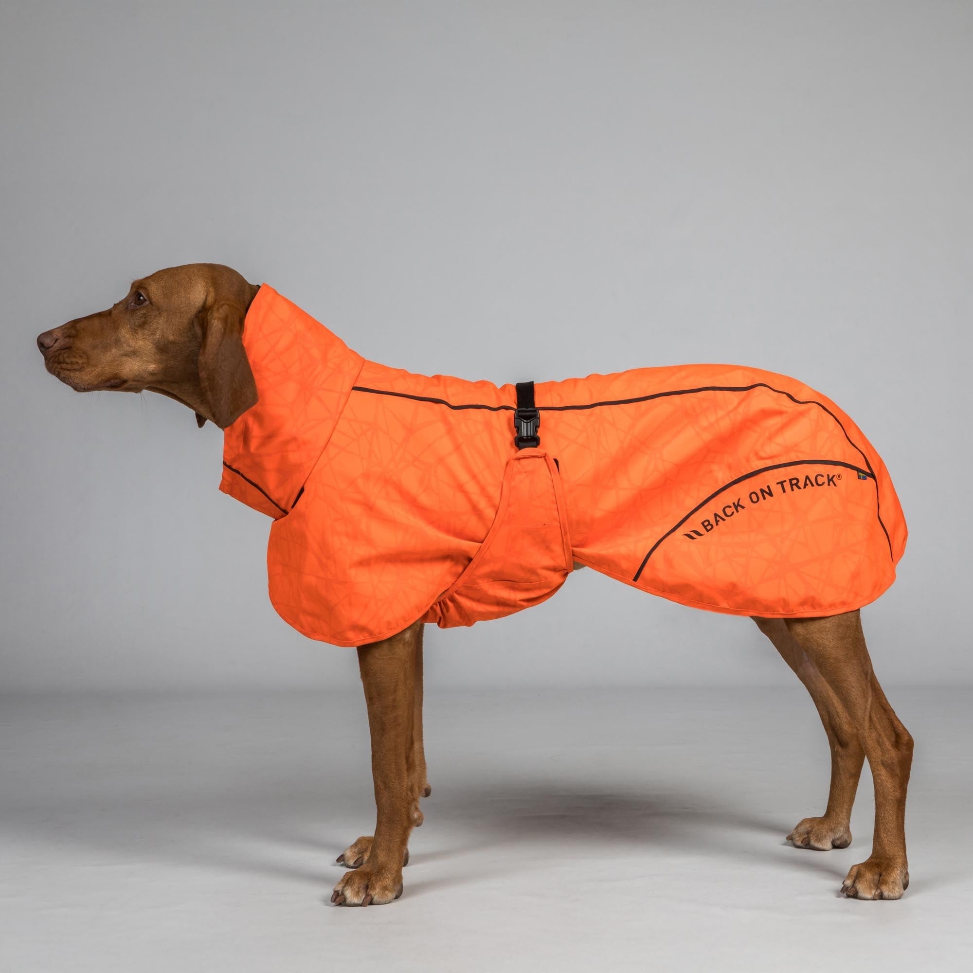3239BAYRainDogCoat_LowsettailOrangeDetail01Web_68c