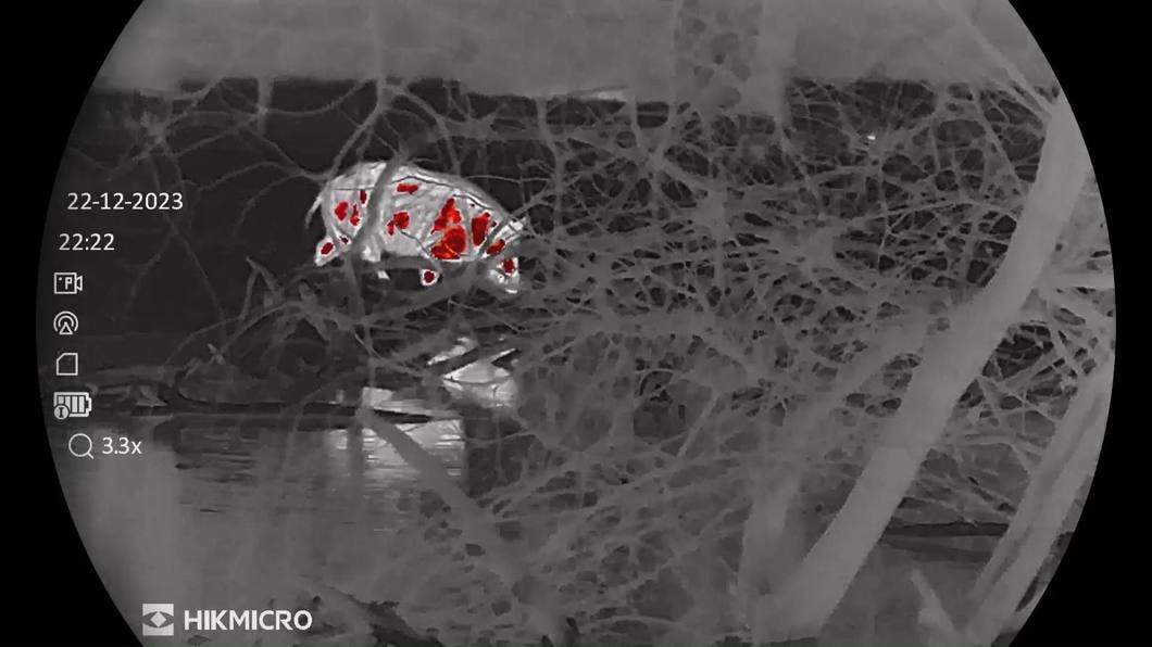 1060w-127248_Hikmicro_Stellar%20SQ50_20_IMG_3423(1