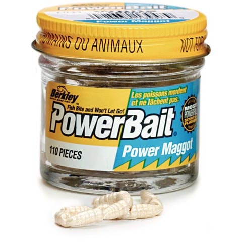 Powerbait Power Maggot White