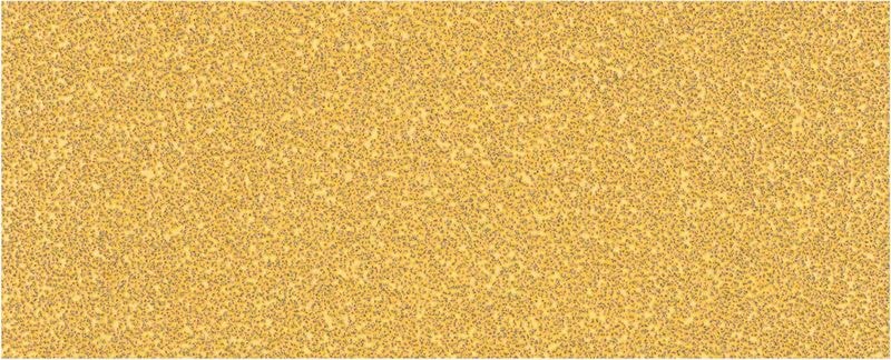 Bosch Slippapper Expert C470 för excenterslipar 93 x 230 mm 10 -pack