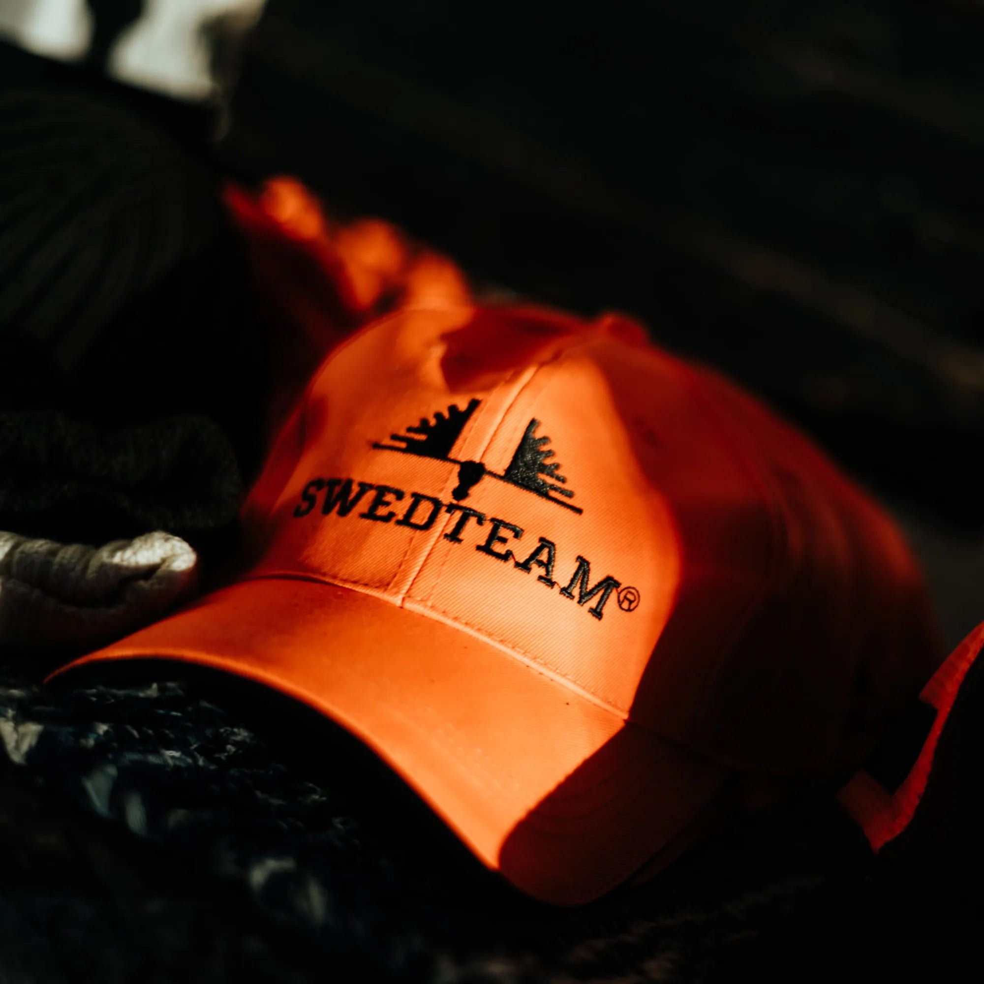 100215551_environment_1_0a7f7459-e4fc-4c4b-b12f-d2