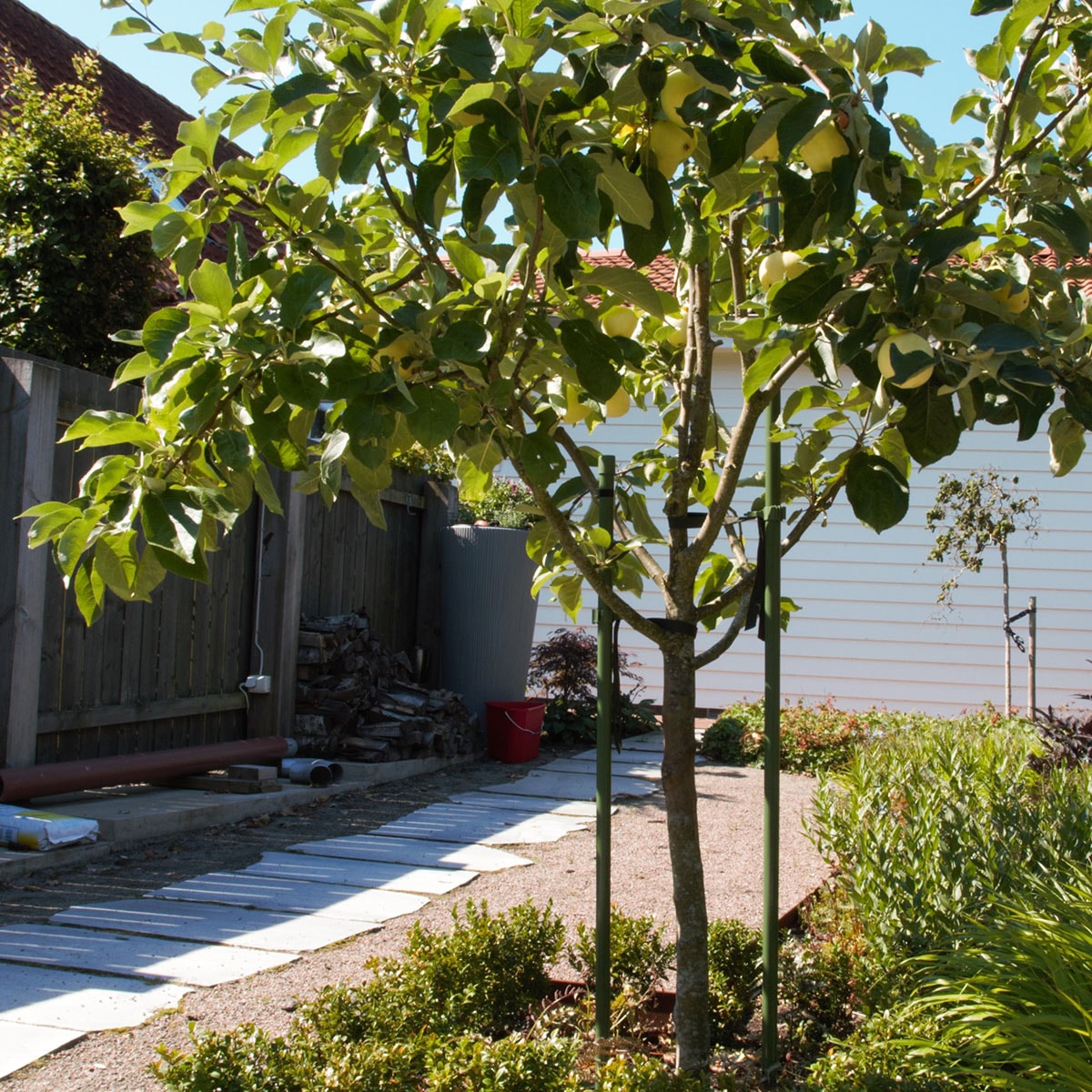 Flexigarden Trädstöd 1-stolpe Grön