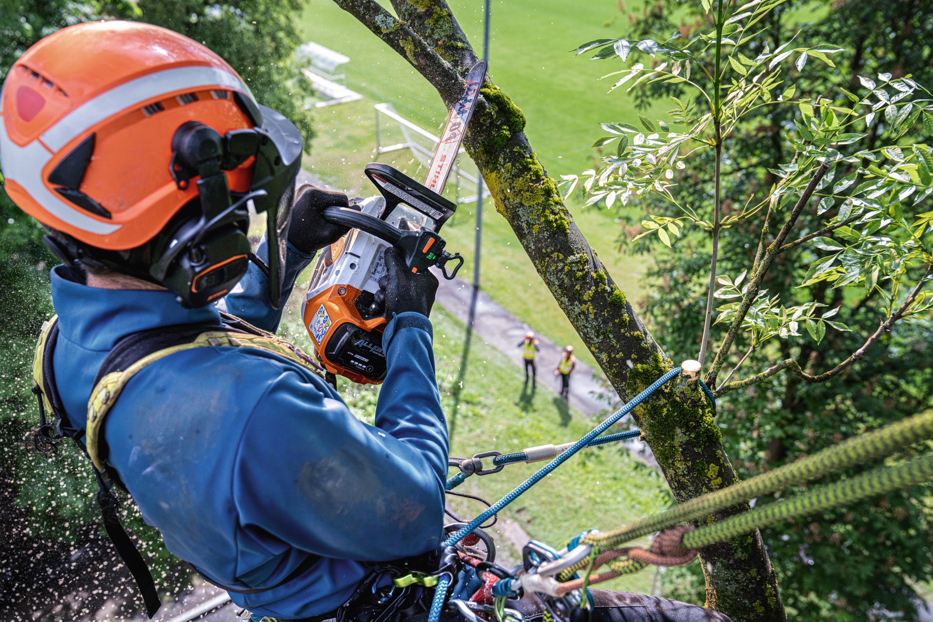 MSA240T-SPRING-ARBORIST_EU_HQ_P_2026-07_0003_Globa
