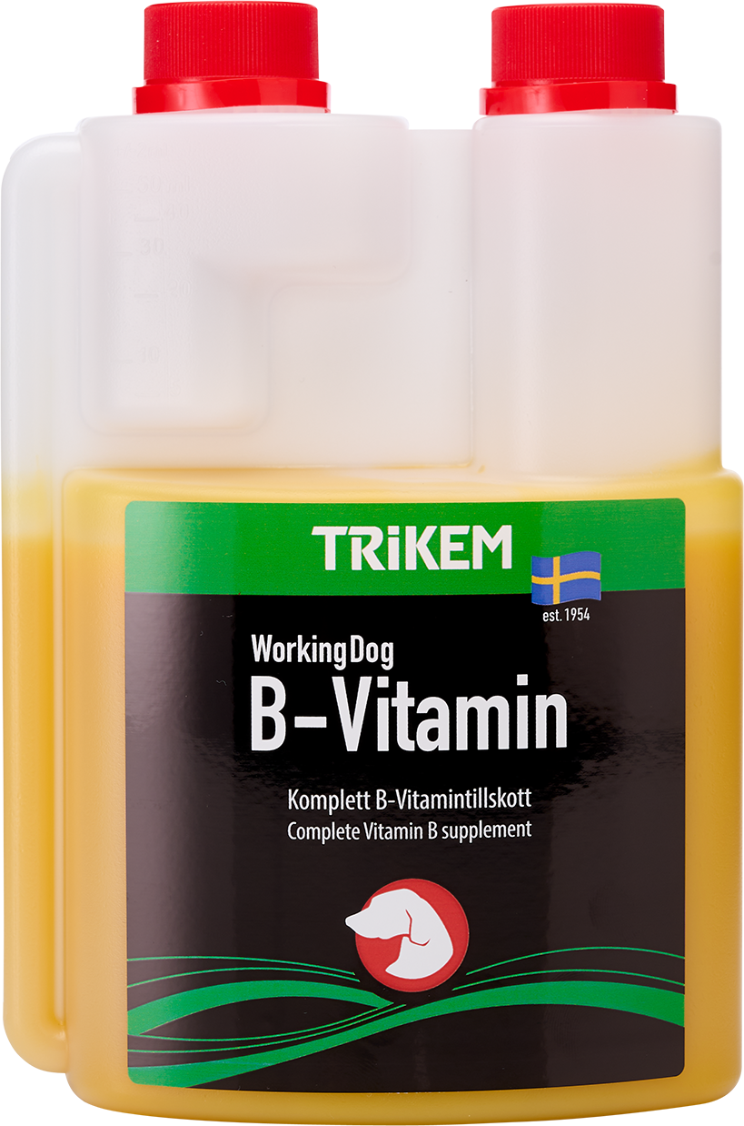 REA/Black Friday Working Dog B-Vitamin 500 ml