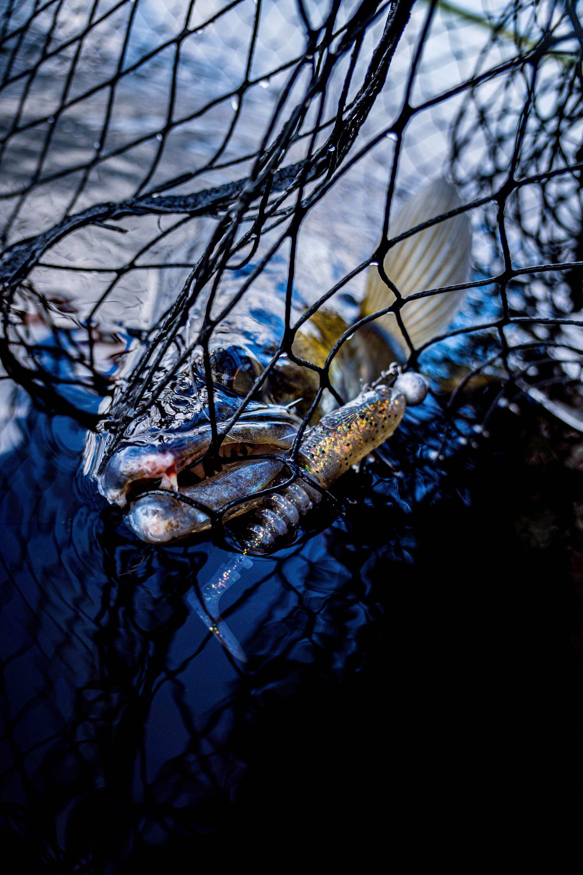 Mediapack Juni 2-3 SMAL.jpg