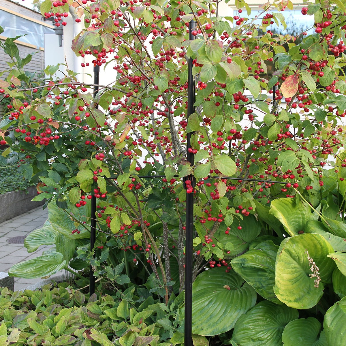 13550050014_1-kopiera__9e63598d-b2df-4a46-953c-65b