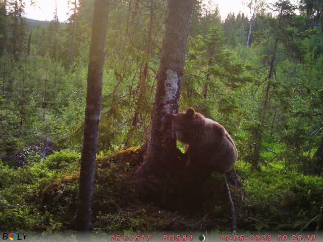 2023-06-18T10_28_0b0b616b-1347-45bd-93f2-0e36925cc