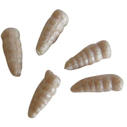 Gulp! Alive Maggot White -