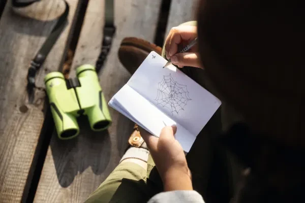 K23_MY_Junior_NZ99601_CMYK.jpg?fm=webp&q=80&w=600