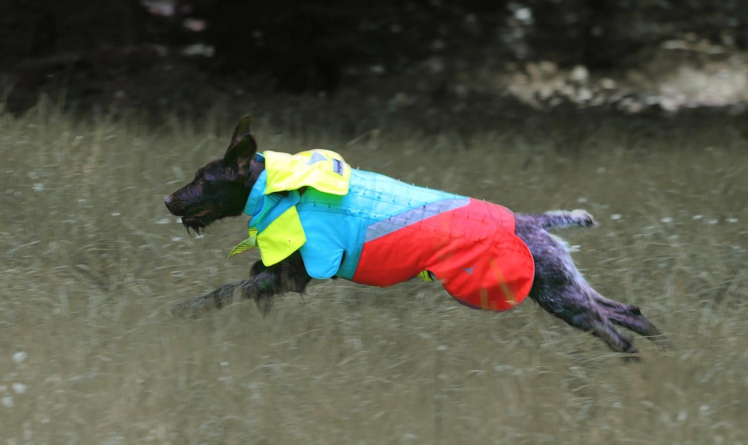 Tuskproof Wolf v.5 Sininen (XL)