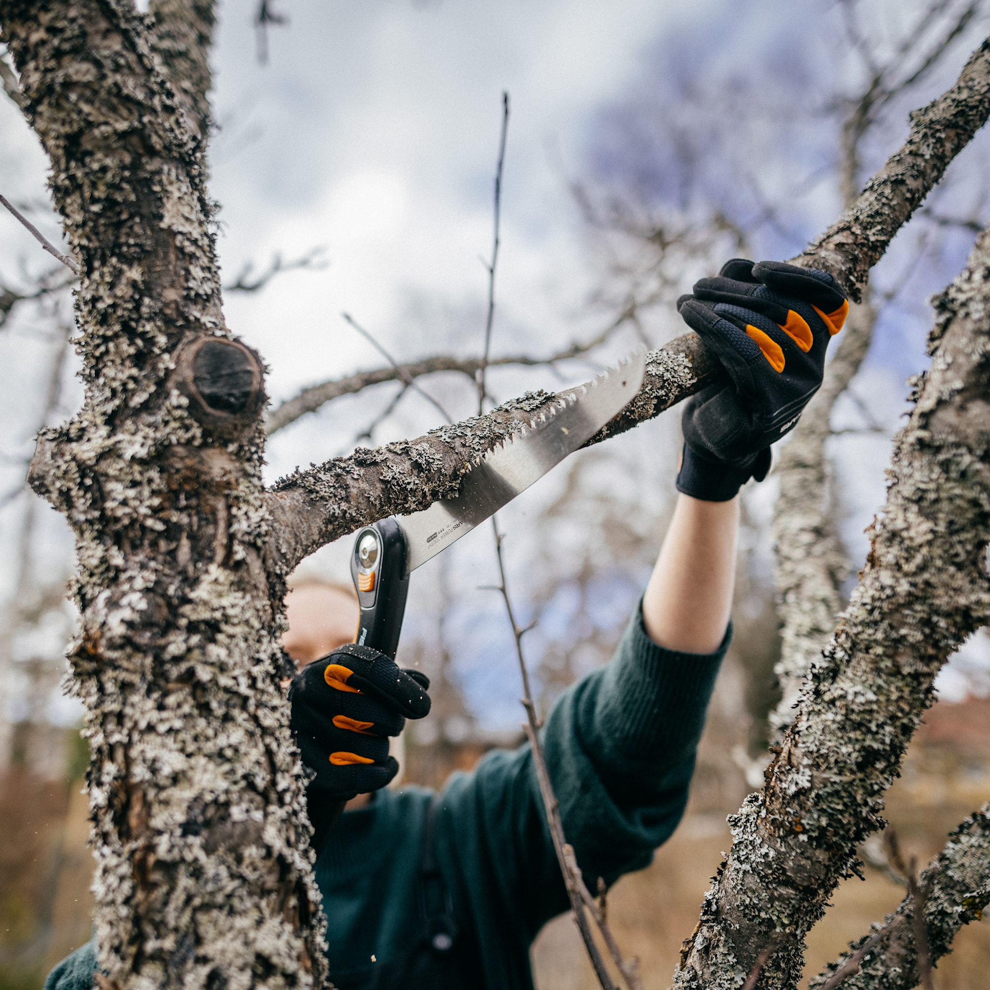 1067553_Fiskars_Plus_Folding_Saw_SW69_action_04_1x