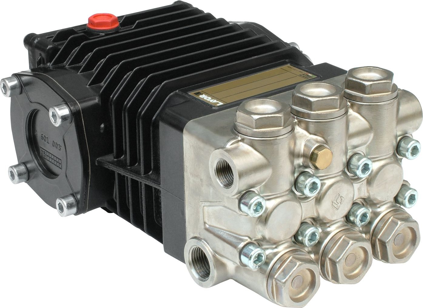 LavorPRO Motorpump CW 54-20 15-200 Left shaft ver.