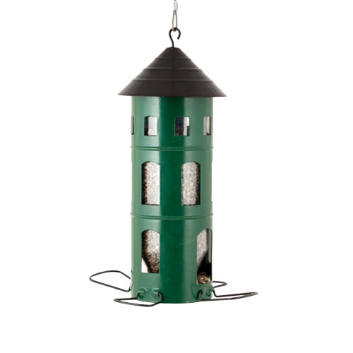 Grøn kombimater frø.