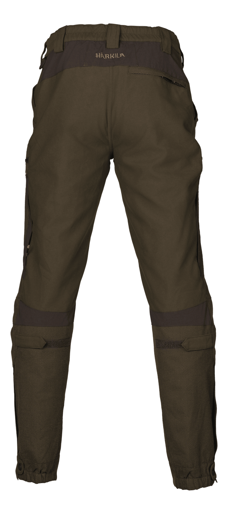 113350029_f02.png