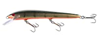 Nils Master Invincible Pro 30g 15cm Dirt Roach