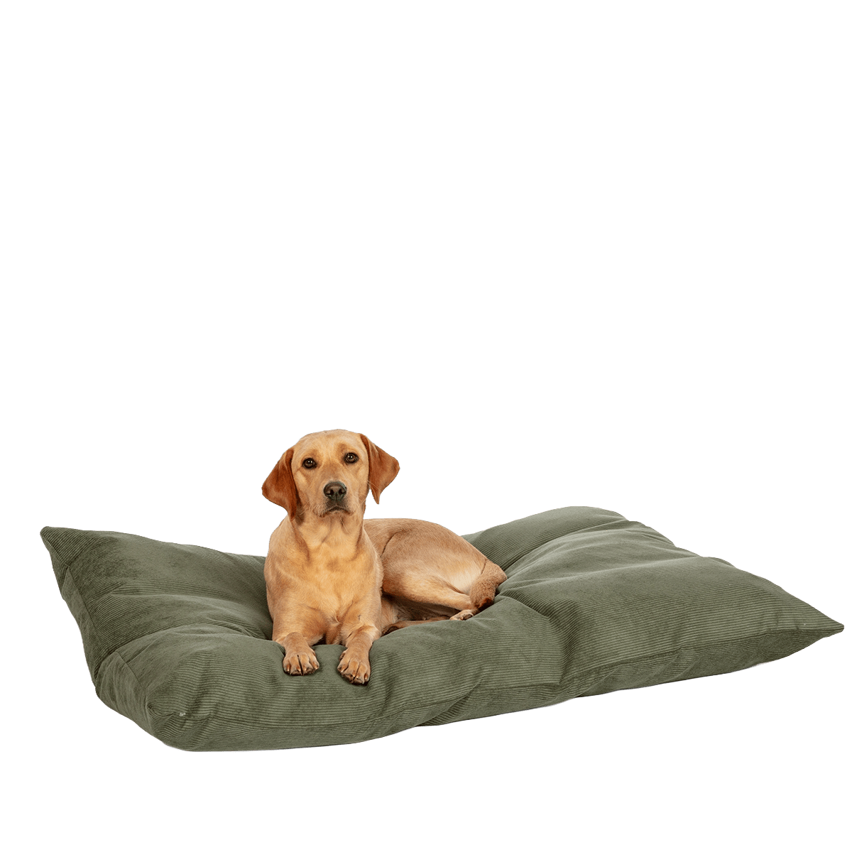 Dänisches Design Elden Fern Deep Duvetbezug für Hundebett