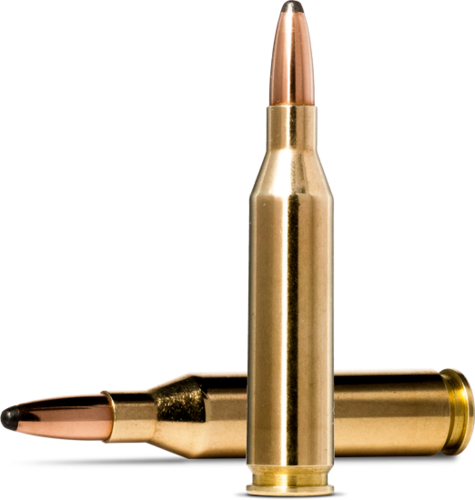 Norma Whitetail .270 WIN 8.4g/130GR