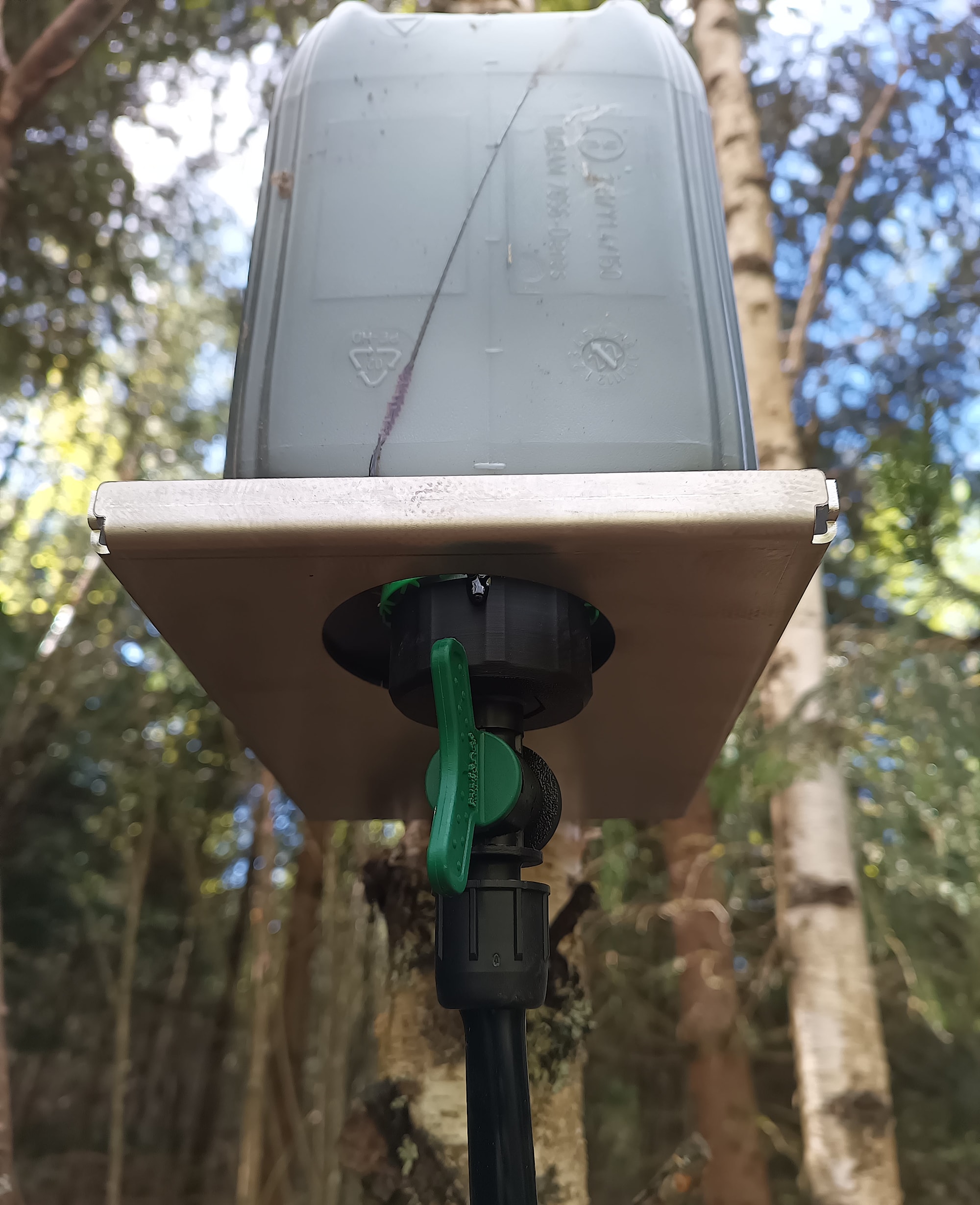 Tjärhyllan undersida 2.jpg