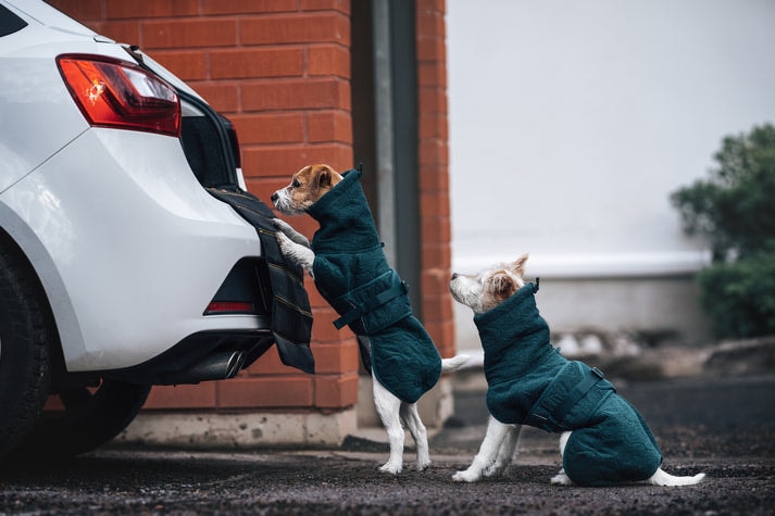 drying_coat_dark_teal_2668-2678_04_lifestyle[1].jp